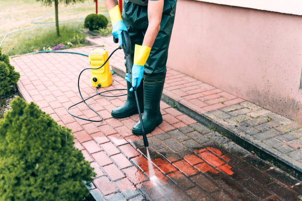 Best Gutter Cleaning  in Greene, IA